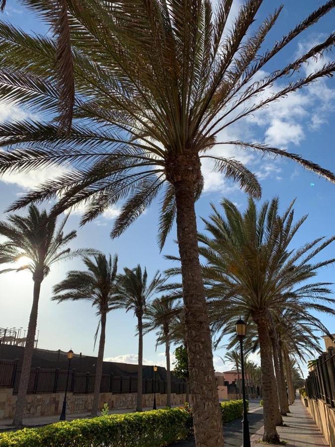 La Tunera Fuerteventura 코라레호 외부 사진
